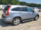 HONDA CR-V EXL photo