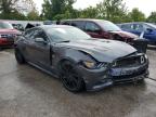 FORD MUSTANG GT photo