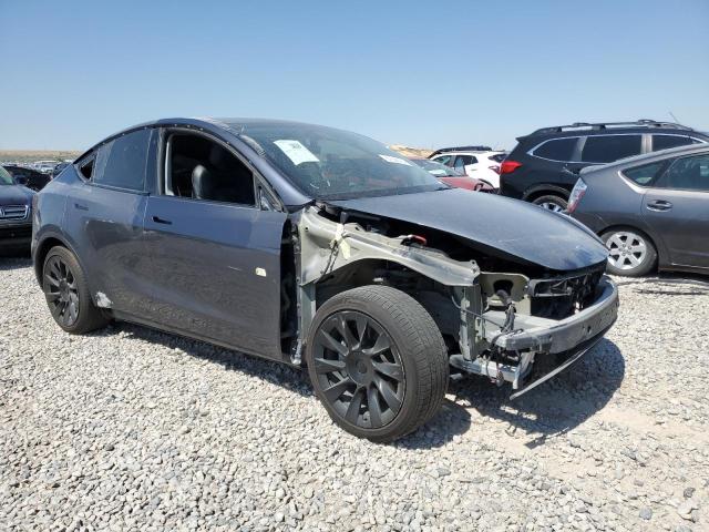 2021 TESLA MODEL Y - 5YJYGDEE8MF203560