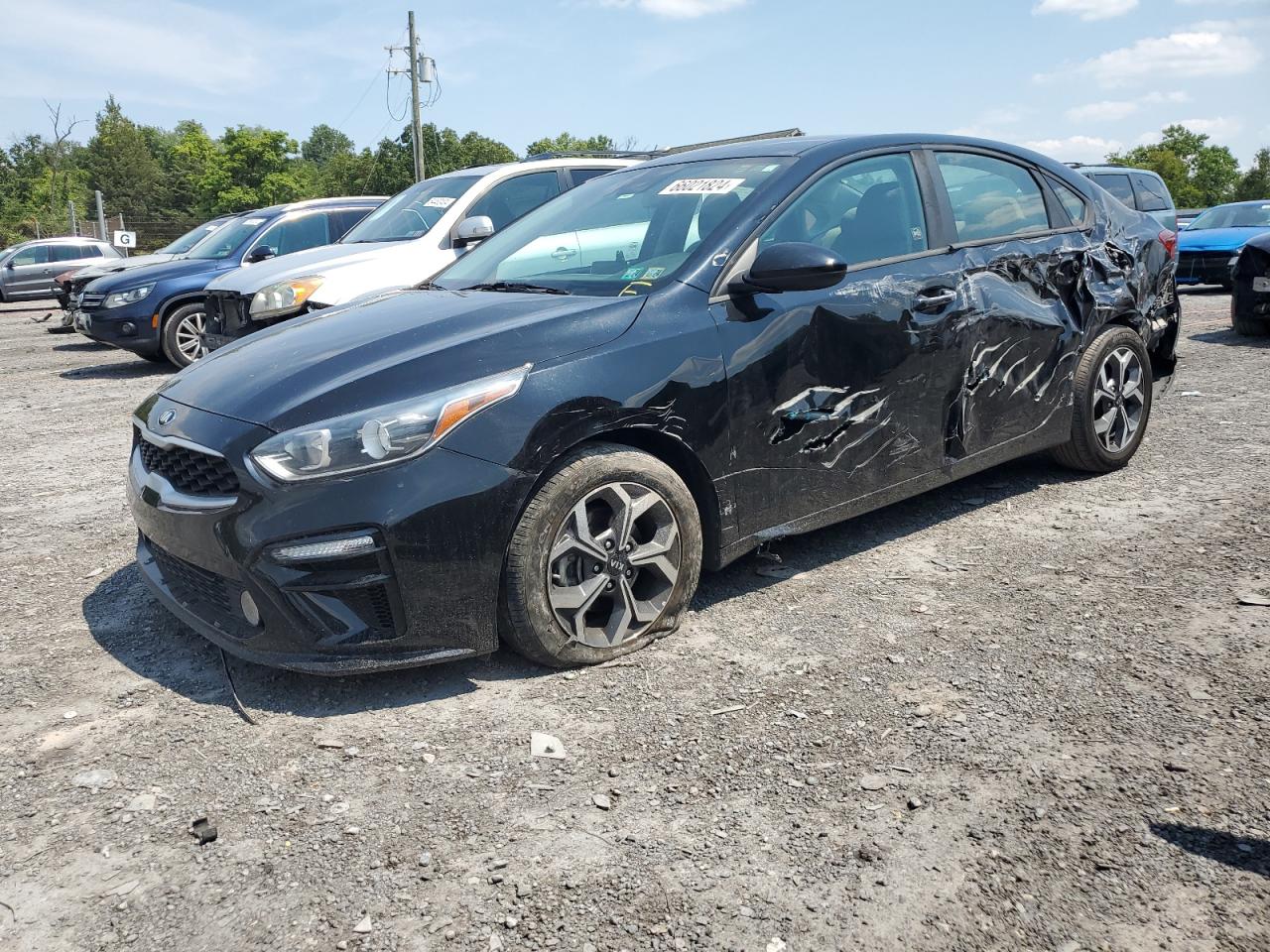 Lot #3033326807 2020 KIA FORTE FE