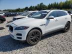 JAGUAR F-PACE PRE photo