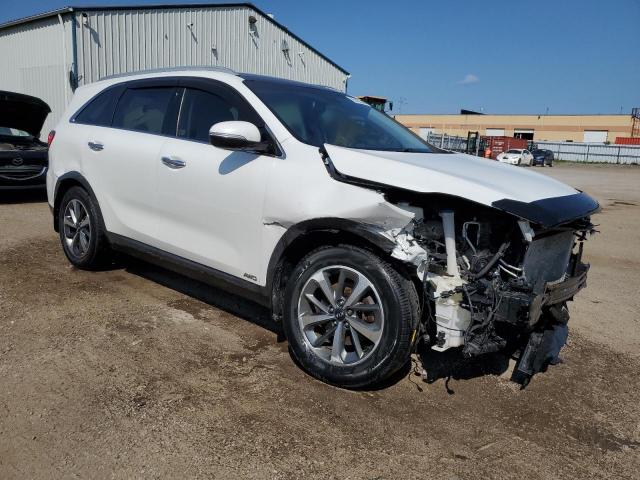 2019 KIA SORENTO 5XYPHDA56KG491146
