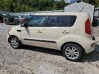 KIA SOUL + photo