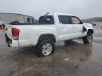 TOYOTA TACOMA DOU photo