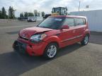 KIA SOUL + photo