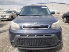 KIA SOUL + photo