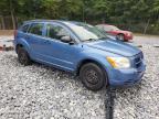 DODGE CALIBER photo