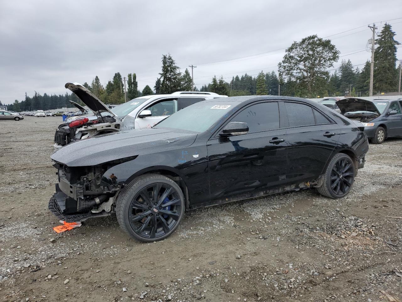 Lot #2909152336 2021 CADILLAC CT4 SPORT