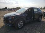 2024 HYUNDAI TUCSON SE - 5NMJACDEXRH385282