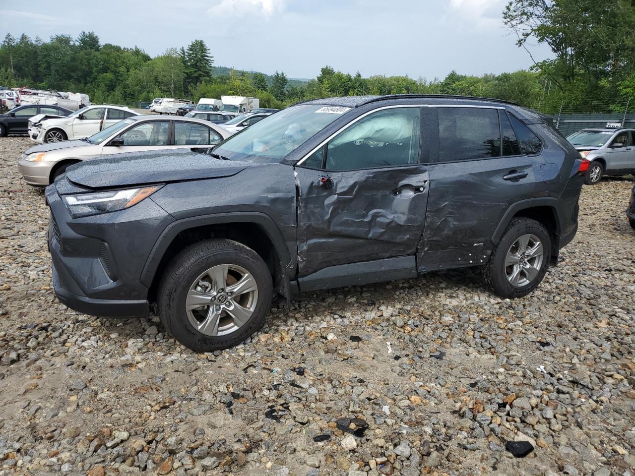 Lot #2888617308 2024 TOYOTA RAV4 LE