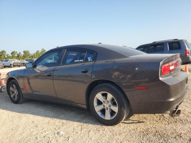 VIN 2C3CDXHG2DH647596 2013 Dodge Charger, Sxt no.2