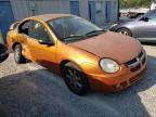 Lot #2938376709 2005 DODGE NEON SXT