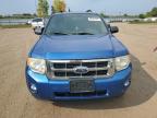 FORD ESCAPE XLT photo