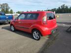 KIA SOUL + photo