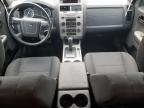 FORD ESCAPE XLT photo