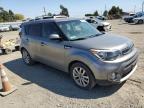 KIA SOUL + photo