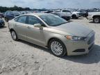 FORD FUSION SE photo