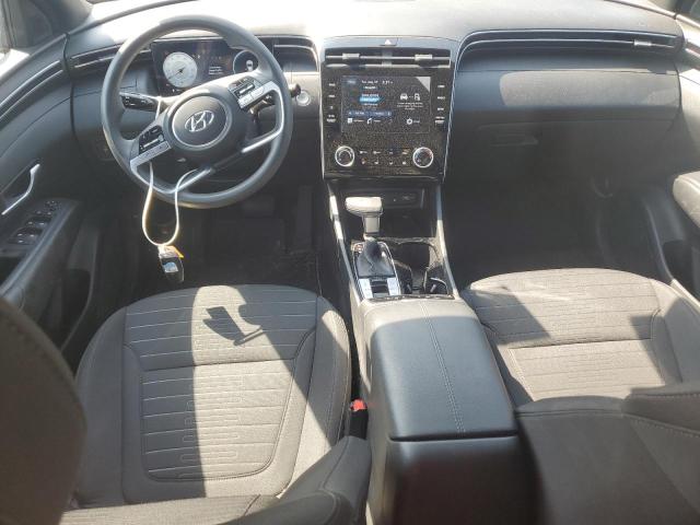 2023 HYUNDAI SANTA CRUZ 5NTJCDAE9PH073976  68542324