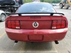 Lot #3030508464 2005 FORD MUSTANG