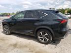 LEXUS NX 300H photo