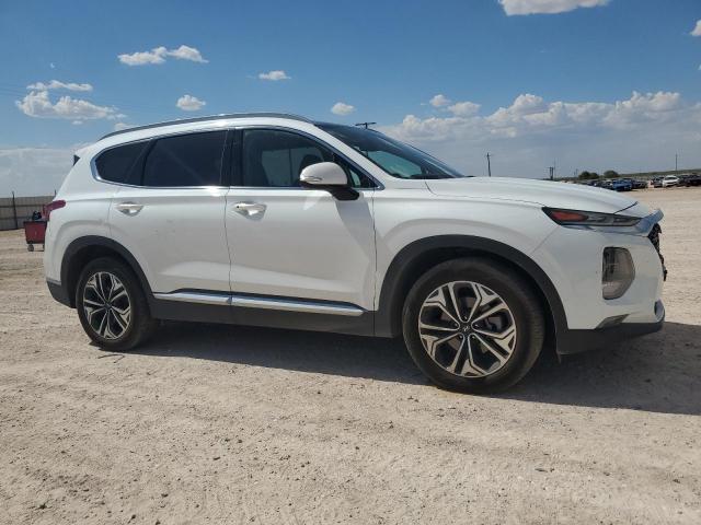 2019 HYUNDAI SANTA FE L - 5NMS5CAA0KH017659