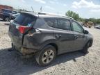 TOYOTA RAV4 XLE photo