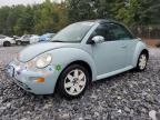 VOLKSWAGEN NEW BEETLE photo