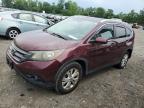 Lot #3025044300 2013 HONDA CR-V EXL