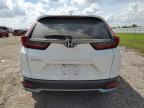 HONDA CR-V EX photo