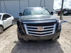 CADILLAC ESCALADE P photo