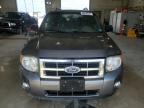 FORD ESCAPE XLT photo