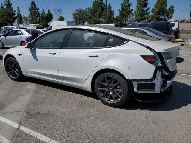 2023 TESLA MODEL 3 #3269973016