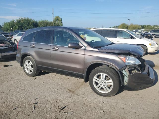 2010 HONDA CR-V EXL 5J6RE4H75AL007800  69022754