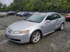 ACURA TL photo