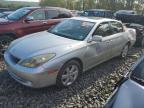 LEXUS ES 330 photo