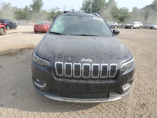 2019 JEEP CHEROKEE L - 1C4PJMDX3KD124639