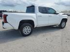 TOYOTA TACOMA DOU photo