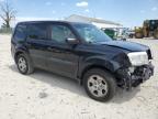 HONDA PILOT LX photo