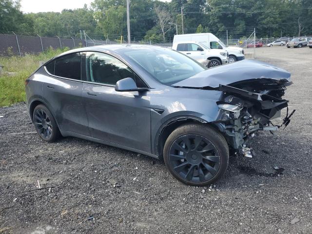 2022 TESLA MODEL Y - 7SAYGDEE3NA009004