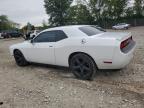 DODGE CHALLENGER photo