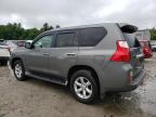 LEXUS GX 460 photo