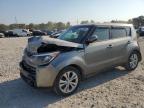 KIA SOUL + photo