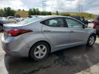 HYUNDAI ELANTRA SE photo