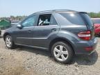 Lot #3023770882 2010 MERCEDES-BENZ ML 350 4MA