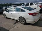 HYUNDAI SONATA SE photo