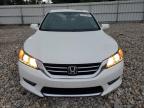 HONDA ACCORD EXL photo