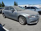 AUDI A4 PREMIUM photo