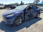 TESLA MODEL Y photo