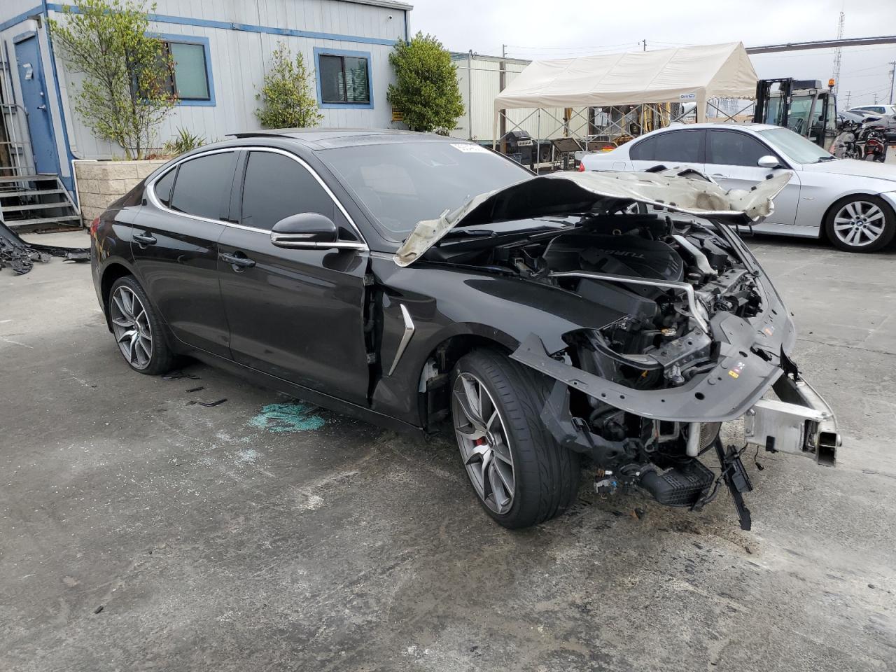 Lot #2987038747 2019 GENESIS G70 PRESTI