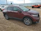 HONDA CR-V EXL photo